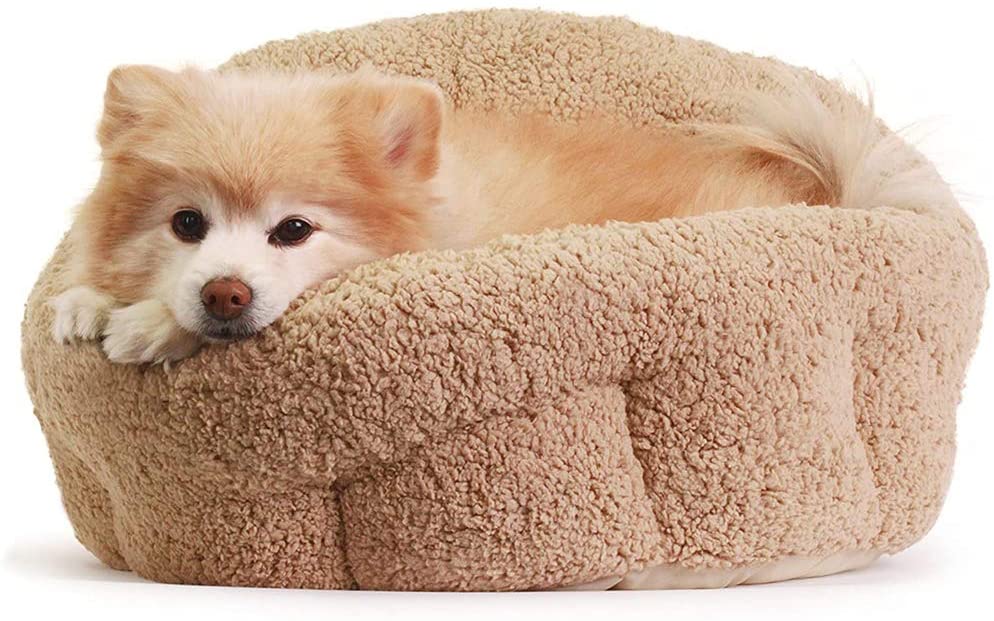 covered dog beds small dogs