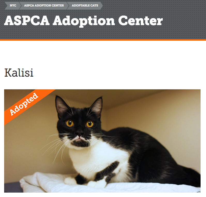 Screenshot from the ASPCA adoption page. Adopted by me!