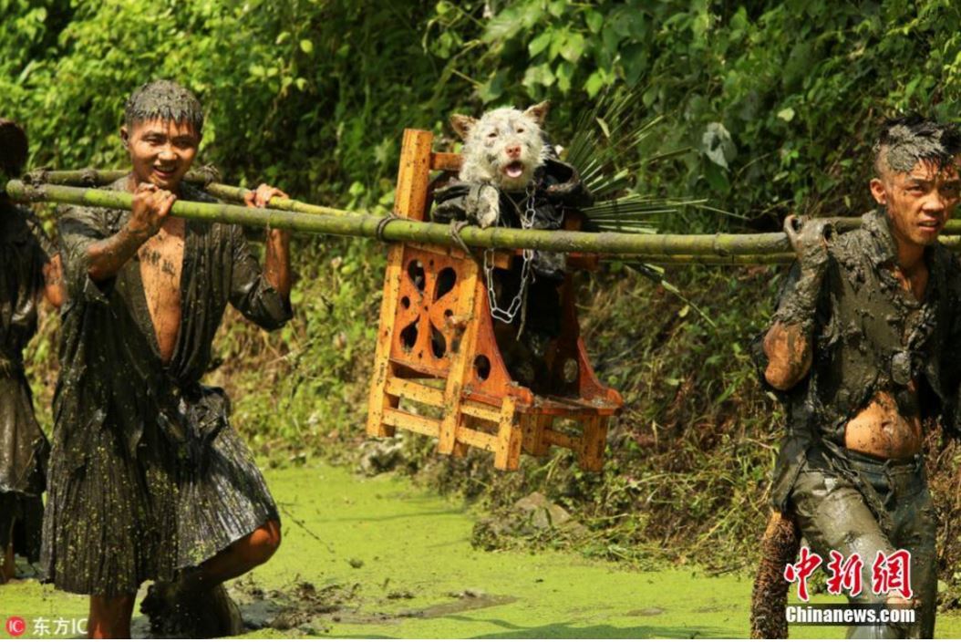 Guizhou Residents Carrying a Dog on A Throne for "Dog Carrying Day"