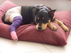 Post-op surgical patient - common recipient of NSAID medication, but not aspirin or ibuprofen