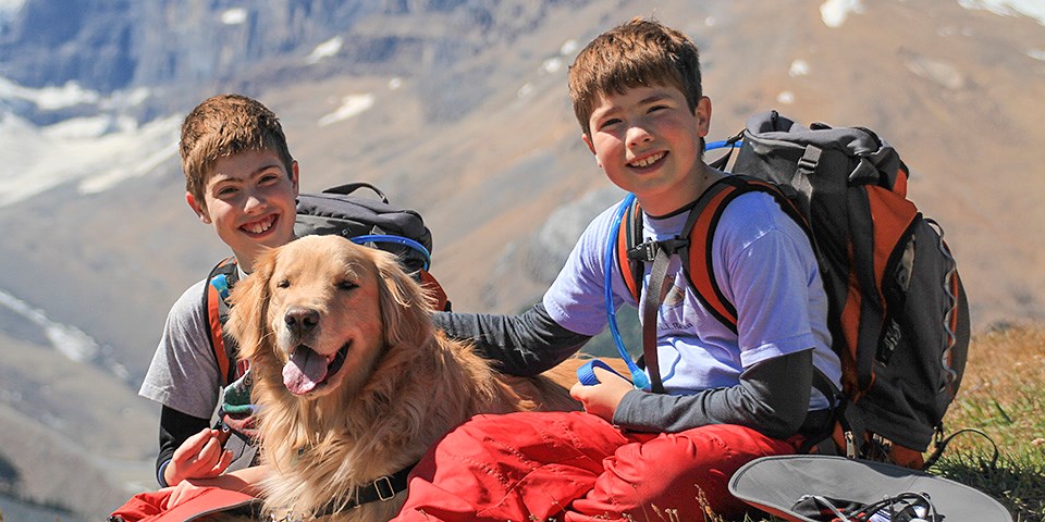 Best dog breeds for kids