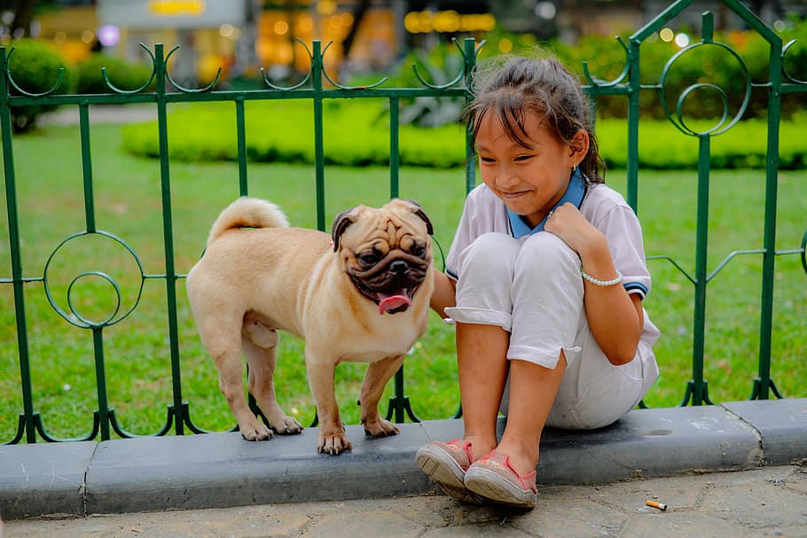 pug breed with children