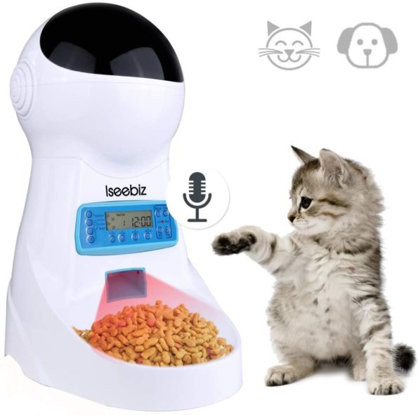 Automatic Cat Feeders for Dry and Wet Foods Delivered on Schedule