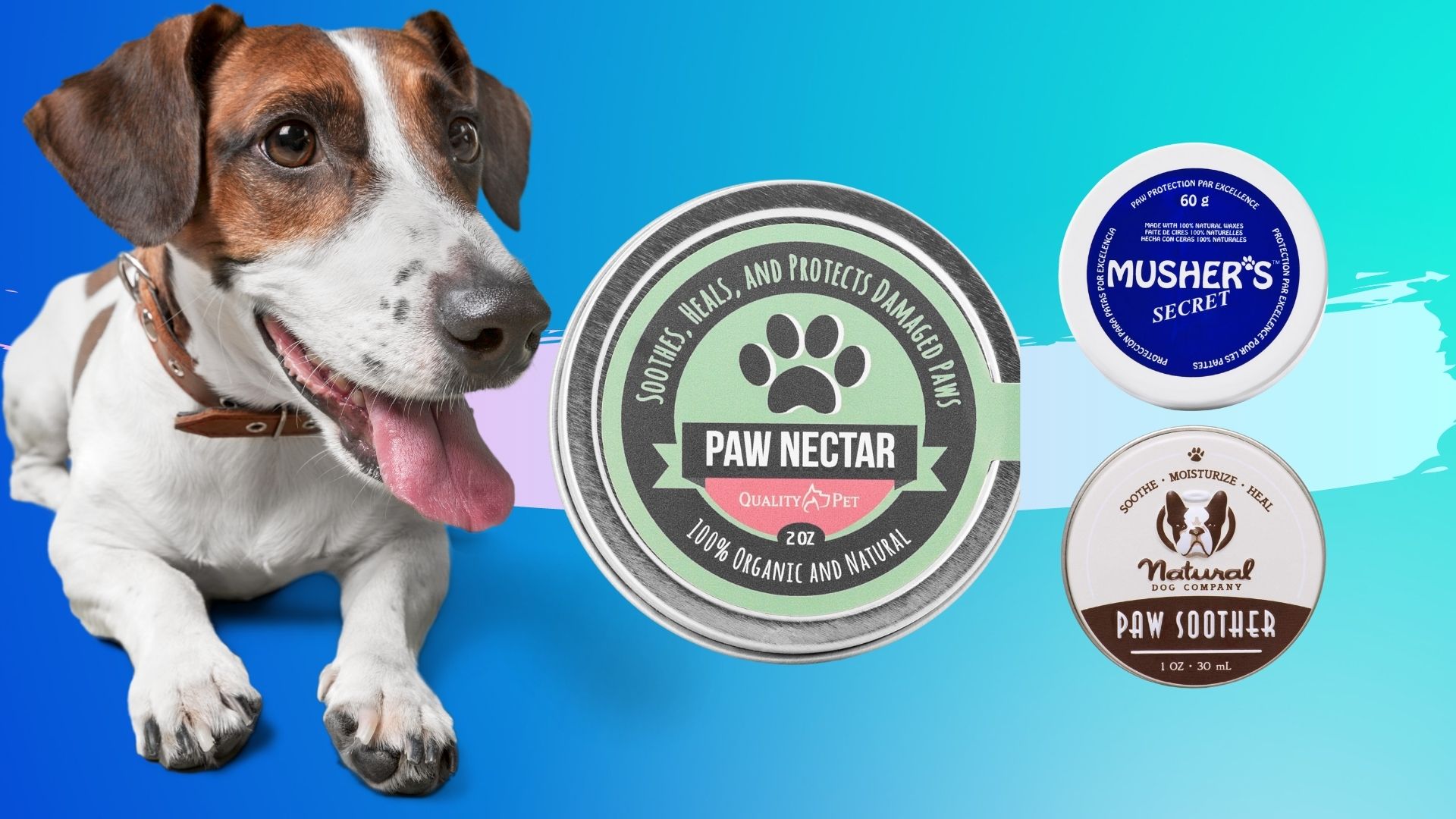 Dog Paw Balm Stick with coconut oil, shea butter & beeswax – legitpet